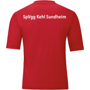 SpVgg Kehl Sundheim 1946 e.V. Trikot Team Kurzarm