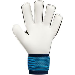 SpVgg Kehl Sundheim 1946 e.V. TW-Handschuh Performance Basic RC