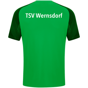 TSV Wernsdorf T-Shirt Performance