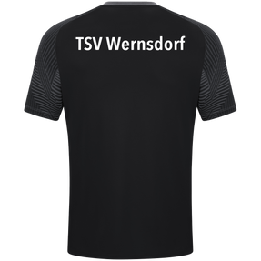 TSV Wernsdorf "Alten Herren" T-Shirt Performance