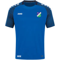 FC Zeholfing T-Shirt Performance