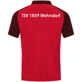 TSV 1859 Wehrsdorf Polo Performance