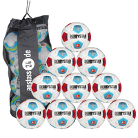 Ballset DERBYSTAR Trainingsball - Bundesliga Brillant TT v23 inkl. Ballsack