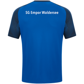 SG Empor Waldersee T-Shirt Performance