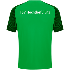 TSV Hochdorf / Enz T-Shirt Performance