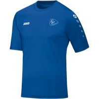 DJK Langenmosen Trikot Team Kurzarm