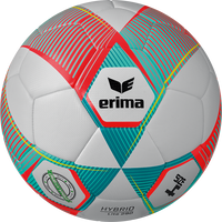 erima Jugendball Hybrid Lite 290 v24