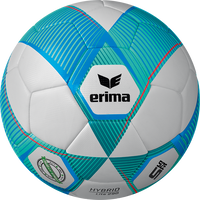 erima Jugendball Hybrid Lite 290 v24