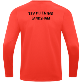 TSV Pliening-Landsham Sweat Power
