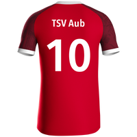 TSV Aub Trikot Iconic KA