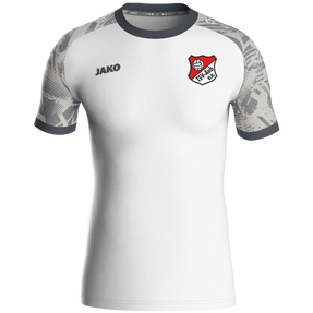 TSV Aub Trikot Iconic KA