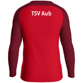 TSV Aub Sweat Iconic