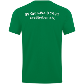 SV Grün - Weiß 1924 Großtreben e.V. Jubiläumsshirt 100 Jahre