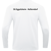 SG Eggolsheim-Hallerndorf Sweat Power