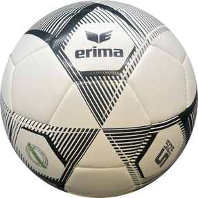 erima Hybrid Trainingsball 2.0 Special Edition v24