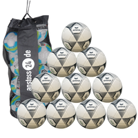 Ballset erima Hybrid Training 2.0 Special Edition v24 inkl. Ballsack