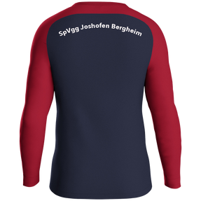 SpVgg Joshofen Bergheim e.V. Sweat Iconic