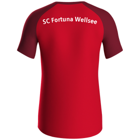 SC Fortuna Wellsee T-Shirt Iconic