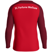 SC Fortuna Wellsee Sweat Iconic