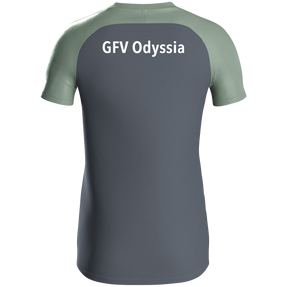 GFV Odyssia Esslingen Polo Iconic