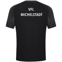 VfL Michelstadt T-Shirt Performance