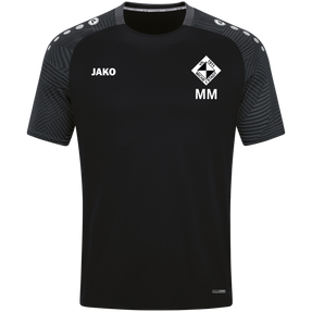 VfL Michelstadt T-Shirt Performance