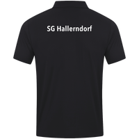 SG Hallerndorf Polo Power