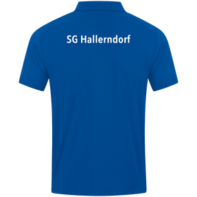 SG Hallerndorf Polo Power