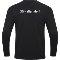 SG Hallerndorf Sweat Power