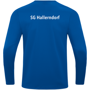 SG Hallerndorf Sweat Power