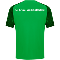 SG Grün Weiß Catterfeld T-Shirt Performance