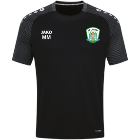 SG Leinatal T-Shirt Performance