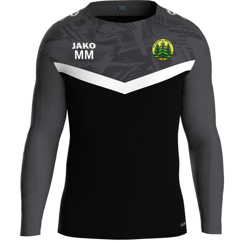 TSV Dennach Sweat Iconic