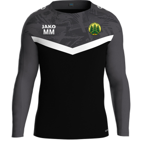 TSV Dennach Sweat Iconic