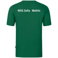 WSG Zella-Mehlis T-Shirt Organic