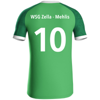 WSG Zella-Mehlis Trikot Iconic KA