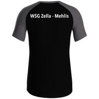 WSG Zella-Mehlis T-Shirt Iconic