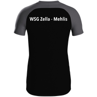 WSG Zella-Mehlis Polo Iconic