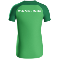 WSG Zella-Mehlis Polo Iconic