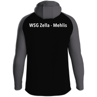 WSG Zella-Mehlis Kapuzenjacke Iconic