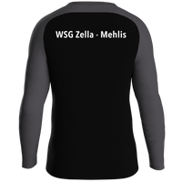 WSG Zella-Mehlis Sweat Iconic