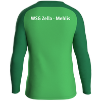 WSG Zella-Mehlis Sweat Iconic