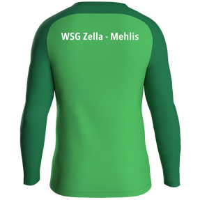 WSG Zella-Mehlis Sweat Iconic