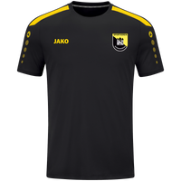 SV Schwindegg Trikot Power KA