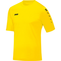 JAKO Trikot Team Kurzarm
