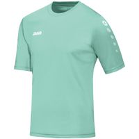 JAKO Jersey Team short sleeve