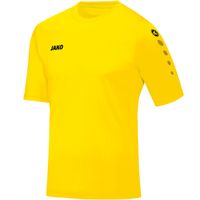 JAKO Trikot Team Kurzarm
