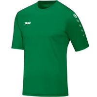 JAKO Trikot Team Kurzarm

