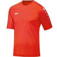 JAKO Trikot Team Kurzarm
