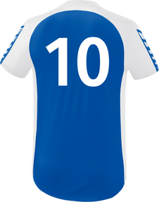 VdH Ladenburg 1910 Six Wings Trikot